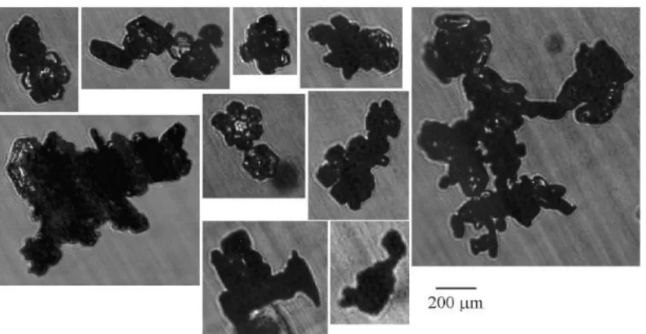 Figure II. 8 : Exemple d’agrégats de cristaux de types plaques et « sector plates ». Images CPI, d’après Schmitt and  Heymsfield (2010)