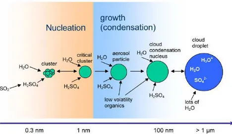 Figure 1.3. Schematic representations of the nucleation and subsequent growth process for atmospheric  binary homogeneous nucleation of H 2 SO 4  and H 2 O