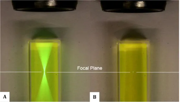 Figure  3 :  Distribution  spatiale  de  l’intensité  de  fluorescence  pour  un  phénomène  d’absorption à un photon (A) et à deux photons (B)