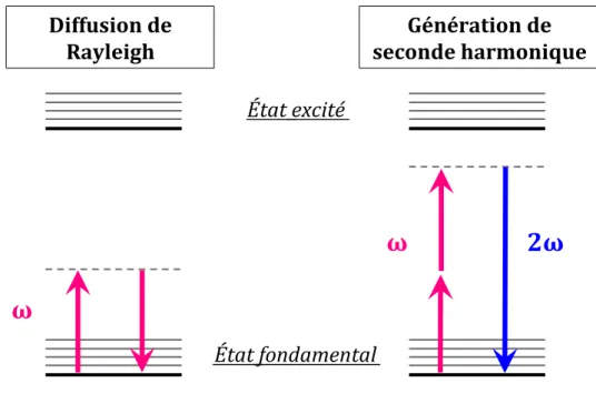 Figure  6 :  Diagrammes  de  Jablonski  simplifiés de  la  diffusion  de  Rayleigh  et  de  la  SHG