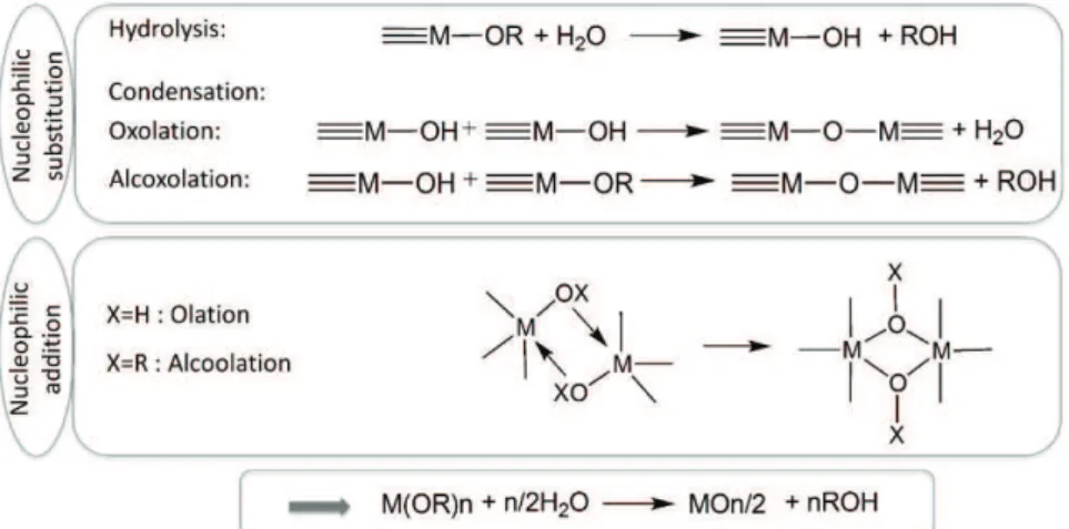 Figure 3 : Réactions d'hydrolyse et de condensation pour un métal de transition