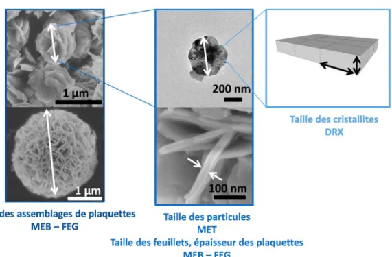 Figure 10 : Détermination des tailles par les différentes techniques de caractérisations