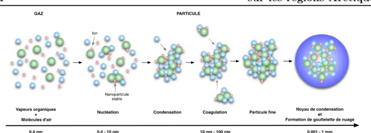 Figure 2.4 – Formation secondaire et évolution d’une particule d’aérosol suivant les processus de coagulation et de condensation (adapté de Delmas et al