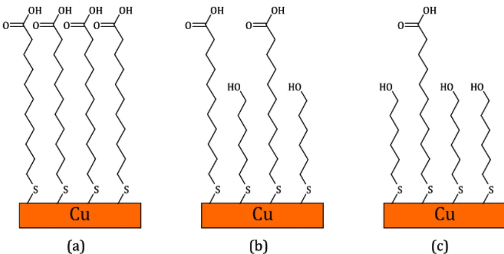 Figure 1 : Schémas des surfaces de cuivre attendues après immersion dans les solutions de MUA pures  (a) et diluées à (b) 50% et (c) 75%