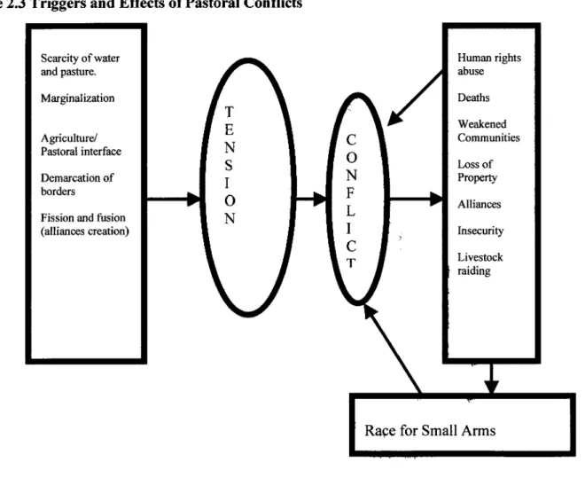 Figure 2.3 Triggers and Effects of Pastoral Conflicts 