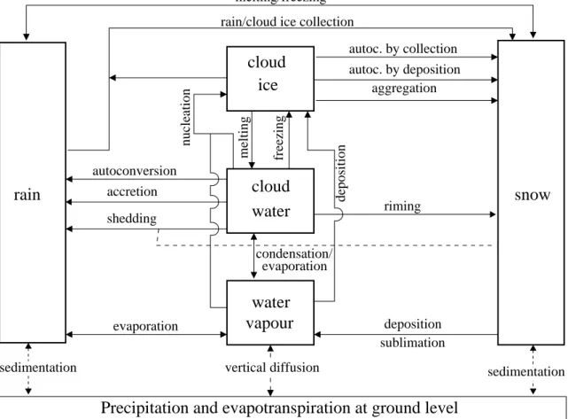 Figure 2.1: Cloud microphysic processes in LM: standard two-category ice scheme.