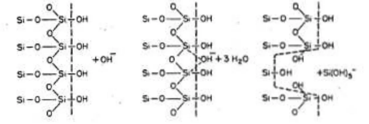 Figure 1-3 : Dissolution de la silice (Iler 1979) 