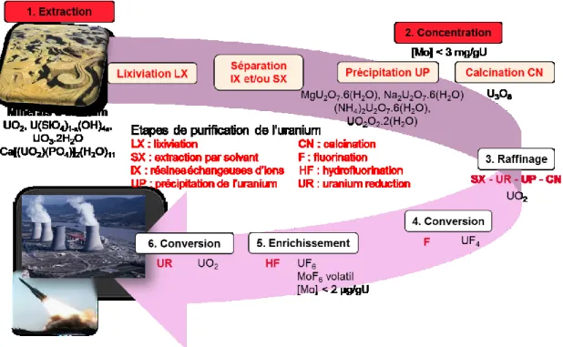 Figure II-4 : Cycle du combustible nucléaire, montrant les principales étapes de purification  de l’uranium et les caractéristiques du molybdène