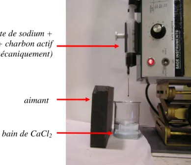 figure III.3 :  montage expérimental pour la synthèse des billes d'alginate magnétiques Suspension d’alginate de sodium + 
