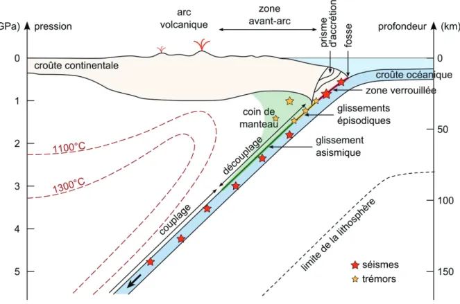 Figure 1.3 – Dynamique de la zone de subduction au niveau de l’interface entre la plaque plongeante et la  plaque supérieure (d'après Kirby et al., 1996; Shelly et al., 2006; Wada et al., 2008; Reynard, 2013)