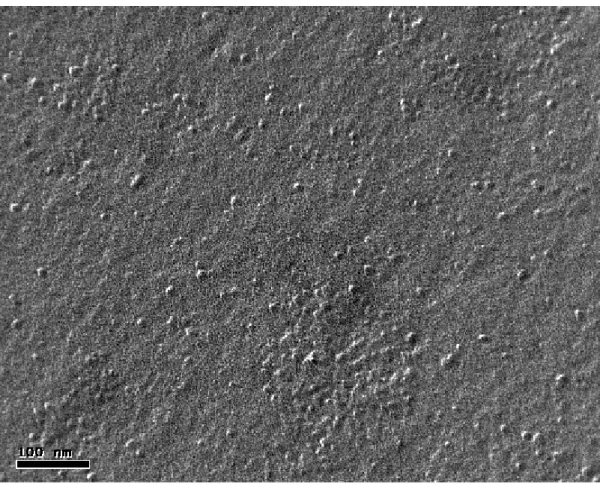 Figure  2-11.  Cryofracture  and  TEM  observation  of  a  3.2 %  (w/w)  gel  of  PDMAM-g-PLL