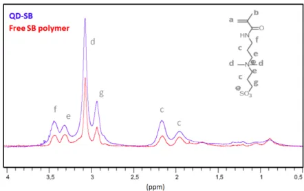 Figure II.9 – Comparaison du spectre RMN 1 H des QD-SB (concentration [QD] = 2 µM et [poly- [poly-mère] = 37 µM, bleu) et du polymère libre SB (concentration [poly[poly-mère] = 10 µM,rouge) dans D2O.