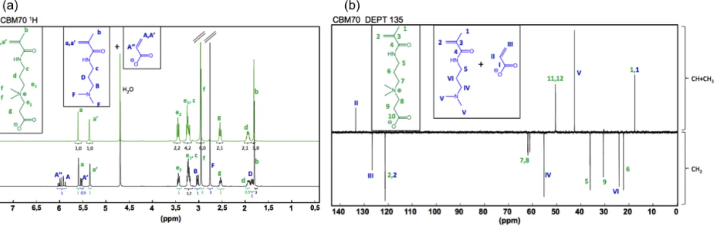 Figure II.28 – (a) Spectres RMN 1 H du monomère CBM seul en vert et du CBM dégradé pendant 5 jours dans D 2 O à 70°C en noir