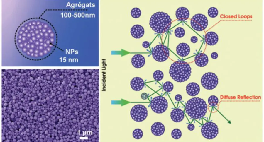 Figure I-25 : Diffusion de lumière par les agrégats de nanoparticules de ZnO 