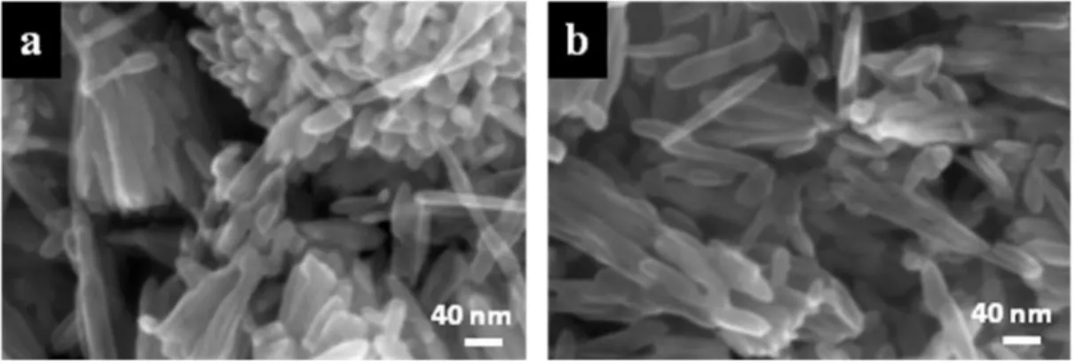 Figure II-7: Images MEB des films de particules de rutile  a) R1 et b) R2 