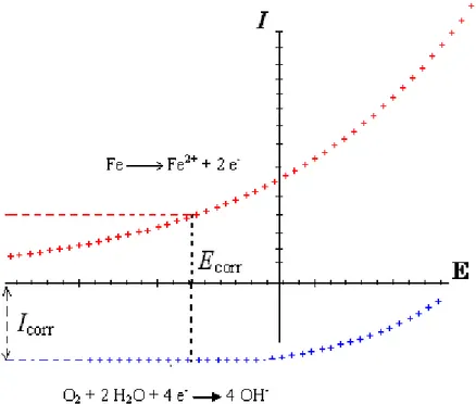 Fig. 2.2 : Réaction électrochimique de corrosion contrôlée par la cinétique de diffusion  (diffusion de l’oxygène dissous) 