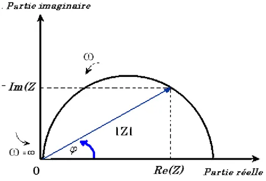 Fig. 2.4 : Représentation du vecteur Z dans le plan complexe 