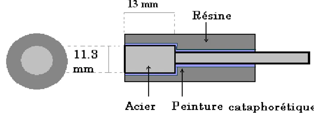 Fig. 2.6 : Schéma de l’électrode de travail  Les électrodes ont été réalisées au laboratoire avec les étapes suivantes : 