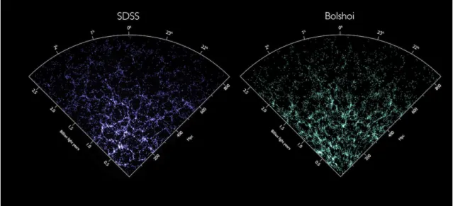 Figure 2.2: Map of the galaxy distribution in the nearby universe observed by the Sloan Digital Sky Survey (left) and predicted by the Bolshoi Simulation (right)