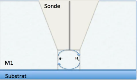 Figure 32 : Représentation de la réduction et oxydation de l’hydrogène dans la région de  confinement entre la sonde et le substrat
