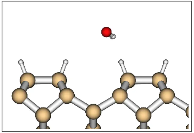 Fig. 4.5: Vue du mod`ele d’adsorption mol´eculaire sur la surface monohydrog´en´ee.