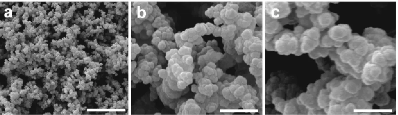 Figure  1-6:  Images  MEB  de  nanoparticules  de polypyrrole  synthétisées  en  présence  de  2  M  de HCl