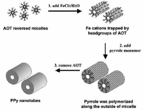 Figure  1-13:  Schéma  illustrant  la  synthèse  de  nanotubes  de  polypyrrole  en  utilisant  des  micelles  inversées  comme  « soft-template »