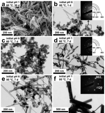 Fig. 2.16  Clihés FESEM, TEM et SAED d'éhantillons obtenus par médiamutation en milieu