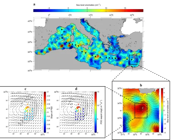 Figure 2.3: BOUM cruise transect over AVISO sea level anomaly for 27 Jun 2008 (a). Red squares represent the location of process studies where several hydrologic and particle proles have been done in Lagrangian mode as well as in a survey mode around local