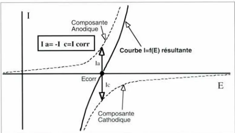Fig. 2 - Composantes anodique et cathodique et courbe I = f(E) au voisina- voisina-ge de Ecorr (Schématique)