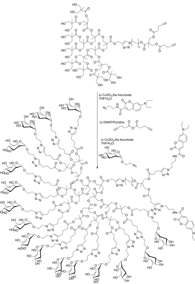Figure   41   -­‐   Exemple   d'un   glycodendrimère   issu   du   bis-­‐MPA   synthétisé   par   Hawker   et   al.