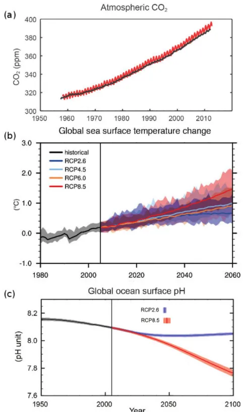 Figure  I-1.  Last  fifty  years  global  climate  change  indicators  a)  continuous  atmospheric  CO 2