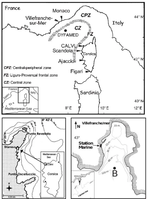 Figure  II-2.  Localisation  of  the  study  sites.  Upper  map:  general  view  of  the  area  with  hydrological  features