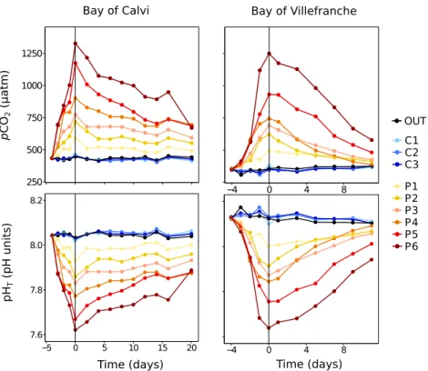 Figure II-3. Partial pressure of CO 2  (pCO 2 ; upper panel) and pH on the total scale (pH T ; lower  panel) inside and outside the mesocosms deployed in the Bay of Calvi (left) and the Bay of  Villefranche (right)