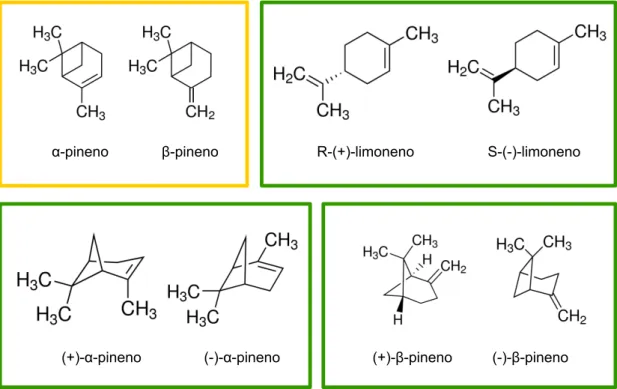 Fig. 1. Isômeros utilizados como estímulos no condicionamento. Cada quadro apresenta um par de isômeros,  que foram usados nos experimentos