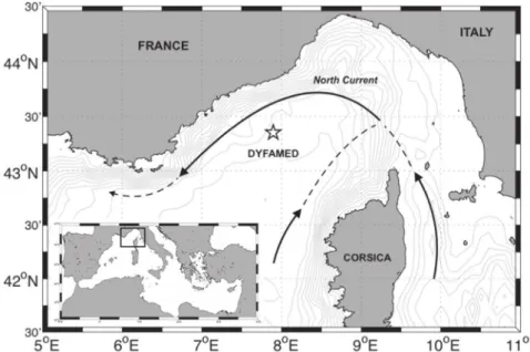 Fig. 1. Location of the DYFAMED time-series sampling site. The black arrows ﬁgure the North Current circulation in surface.