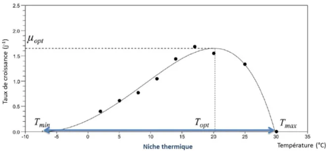 Figure B11 : courbe de réponse des microalgues à la température mesurée et modélisée pour Asterionella  formosa d’après Bernard &amp; Rémond, (2012)