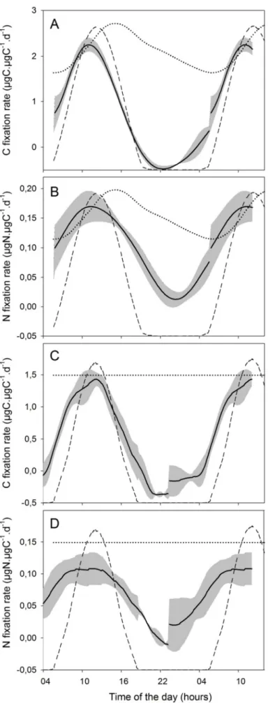 Figure D3 : Averaged values of carbon fixation rate in C-LT (A) and C-L (C) cultures, and of nitrogen fixation 