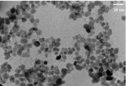Figure  ‎ II.14: exemple de cliché de microscopie électronique à transmission des nanoparticules de maghémite