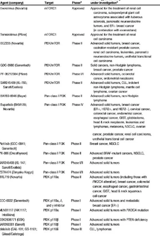 Table 2. A summary of PI3K/AKT/mTOR pathway inhibitors in clinical development (Source: (Dienstmann, Rodon et al