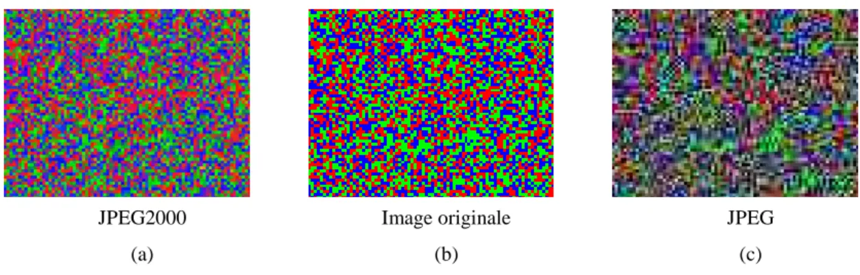 Figure 1-14  La distorsion de la couleur qui existe dans les codeurs JPEG et JPEG 2000   (a) JPEG2000 (b) Image originale (c) JPEG 