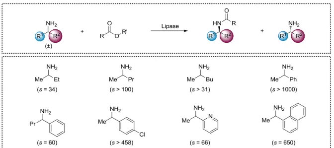 Figure I.3. Règle empirique de la sélectivité de la subtilisine. 