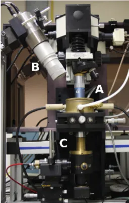 Figure 3.1 – Montage de la cellule haute température sous le microscope Raman UV. (A) objectif pour la  me-sure Raman UV, (B) pyromètre  bi-chromatique, (C) objectif pour  collec-ter l’émission de corps noir.