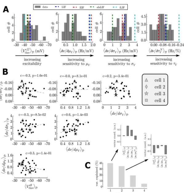 Figure 6: Heterogeneity and underlying structure of the fi ring response of neocortical cells (A) Histogram over recorded cells of the mean excitabilities and sensitivities to the variables of the fluctuations