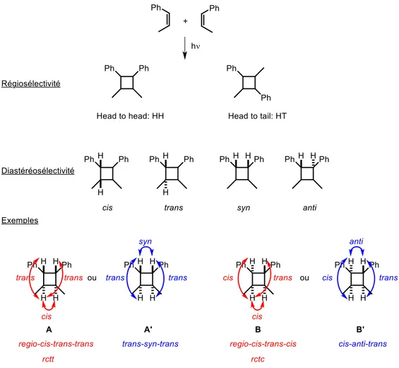 Figure 7 : Nomenclature appliquée aux régio et diastéréoisomères obtenus par photocycloaddition  [2+2] 