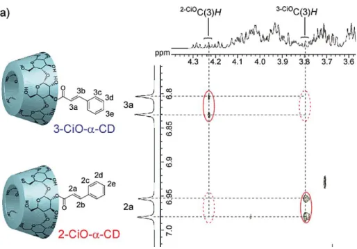 Figure 43 Spectre ROESY du mélange 1:1 des régiosiomères   CD-3-O-Cin et   CD-2-O-Cin (Adaptation à  partir de la réf