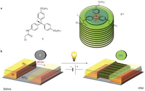 Figure 59 Auto-assemblage hiérarchique photo-sensible dans le C 2 H 2 Cl 4  à base de motif triarylamine  (adaptation à partir de la réf