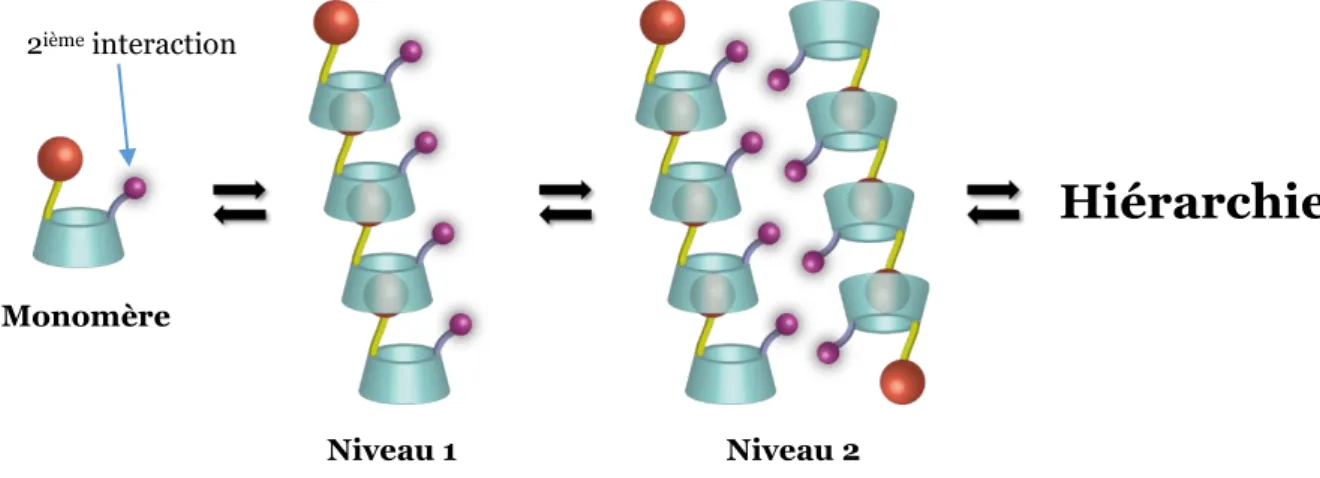 Figure 62 Stratégie d’auto-assemblage hiérarchique utilisant une CD di-fonctionnalisée 