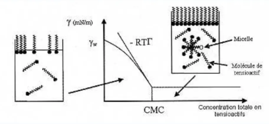 Figure 23 : Evolution de la tension interfaciale d’un système eau/air en fonction d’une concentration  croissante  en  tensioactif