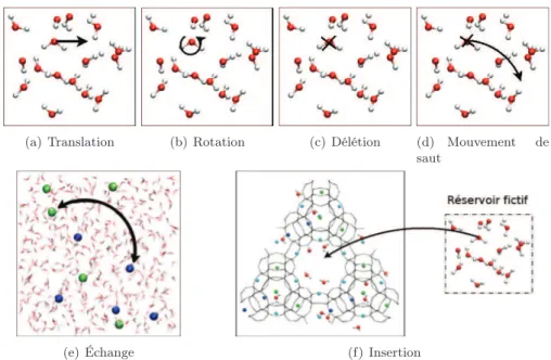 Figure 2.5 : Représentation schématique des mouvements simples d’une molécule d’eau qui ont lieu dans une simulation Monte–Carlo : translation (a), rotation (b), délétion (c), mouvement de saut (d), échange (e) et insertion (f).